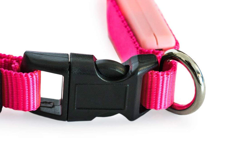 [Australia] - Great-Dealz LED dog Collar to Keep Your Dog Safe  – Flashing Dog Collar with Extra Batteries Small Min (6-8 inches) Pink 