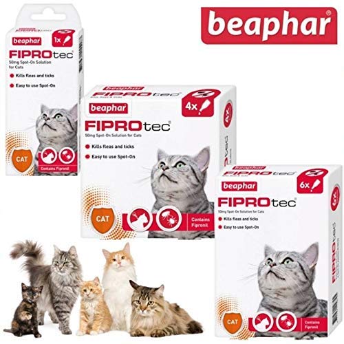 Beaphar FIPROtec Spot On Solution for Cats (1 Treatment 5 wks) 1 Treatment 5 wks - PawsPlanet Australia