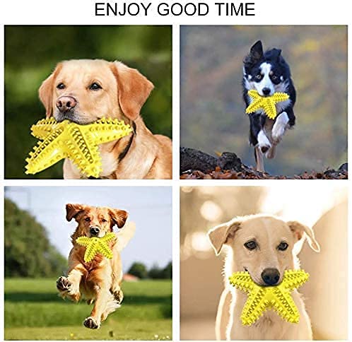 Dog Chew Toy Made with Durable Natural Rubber for Aggressive Chewers, Pet Teething Toys for Playtime and Teeth Cleaning, Dog Toys of Various Shapes starfish - PawsPlanet Australia