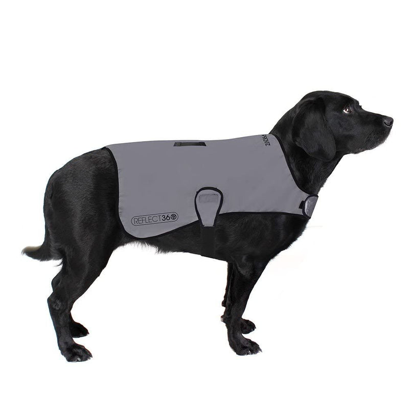 Proviz REFLECT360 Reflective Hi Viz Waterproof Dog Coat Hi Visibility XS - PawsPlanet Australia