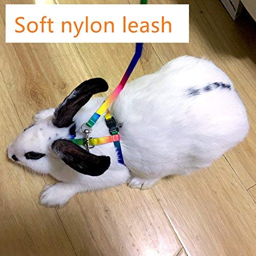 Rabbit Harness Lead Leash Soft Nylon, Adorable Colorful Rainbow Adjustable Harness Collar, Outdoor Walking Buckle Leash - PawsPlanet Australia