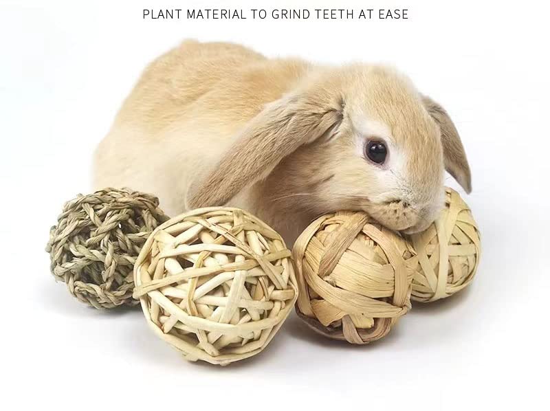 CAMITER Pack of 9 chew balls, rabbit chew toys, hamster toys, small animals chew toys for small animals, hamsters, rabbits, guinea pigs, chinchillas, gerbils (8 cm). Various chew balls - PawsPlanet Australia