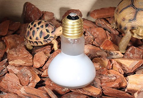 [Australia] - CTKcom 100 Watt UVA Pet Heating Lamp(2 Pack),R85 Day Light UVA Basking Heat Spot Lamp,UVA Reptile Heat Bulb for Turtle Aquarium Aquatic Reptile Lizard Heat Lighting E26/E27,110V,2 Pack 