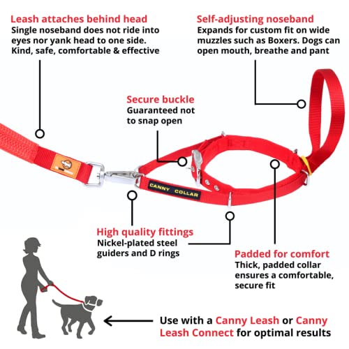 Canny The Canny Collar for Dog Training and Walking, Simple and Effective Help with Dog Training and Helps to Stop Dogs from Pulling on The Lead, Collar for Dog Walking - Black Size 1 - PawsPlanet Australia