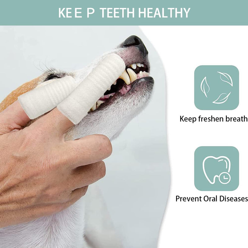 Fyfjur Dog Toothbrush, Pack of 10 Reusable Finger Toothbrush Dog Anti-Plaque, Efficient Finger Cots Dog Dental Care for Dental Care Dog Cats White - PawsPlanet Australia