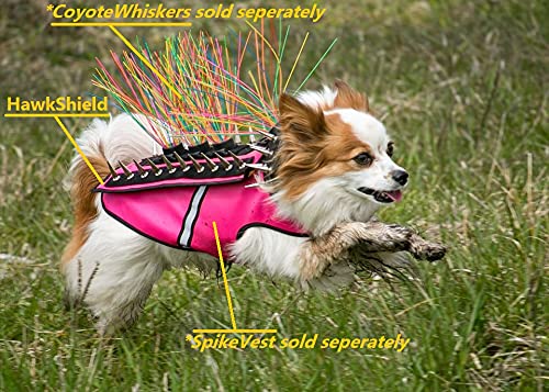CoyoteVest HawkShield Pad for CoyoteVest or SpikeVest Dog Harness Vest, Protective Dog Accessories to Shield Your Pet from Raptor, Hawk, Coyote and Animal Attacks XX-Small Fluorescent Orange - PawsPlanet Australia