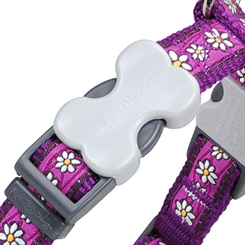 Red Dingo Dog Harness, 12 mm/ 30 - 44 cm/Neck Size 25 - 39 cm, X-Small, Daisy Chain Purple Extra Small - PawsPlanet Australia