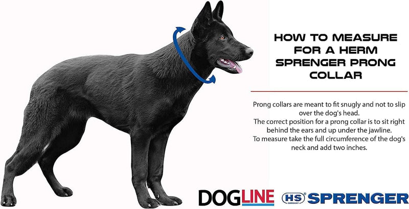 Herm Sprenger Ultra-Plus Prong Swivel Ring Stainless Steel Micro Training Dog Collar | Assembly Chain Training Collar for Smaller Dogs | Made in Germany - (1.5 mm, (Neck Size Upto 9.5")) 13in (32cm) x 1.5mm - PawsPlanet Australia