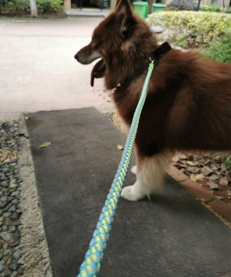 Mycicy Rope Dog Leash - 4/6/10 Foot Reflective Dog Leash - Mountain Climbing Nylon Braided Heavy Duty Dog Training Leash for Large and Medium Small Dogs Walking Leads 4ft * 1/2" Green - PawsPlanet Australia