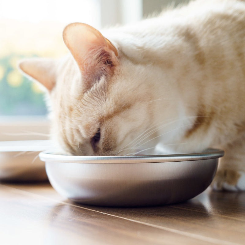 [Australia] - Americat Company Stainless Steel Cat Bowls – Made in The USA from U.S. Materials – Prevent Whisker Fatigue – Dishes for Cat Food and Water Set of 2 