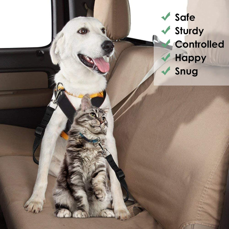 Dog belt for car, seat belt dog car, dog adjustable seat belt, seat belt cat car, dog belt for car small dogs, dog seat belt, adjustable dog belt black - PawsPlanet Australia