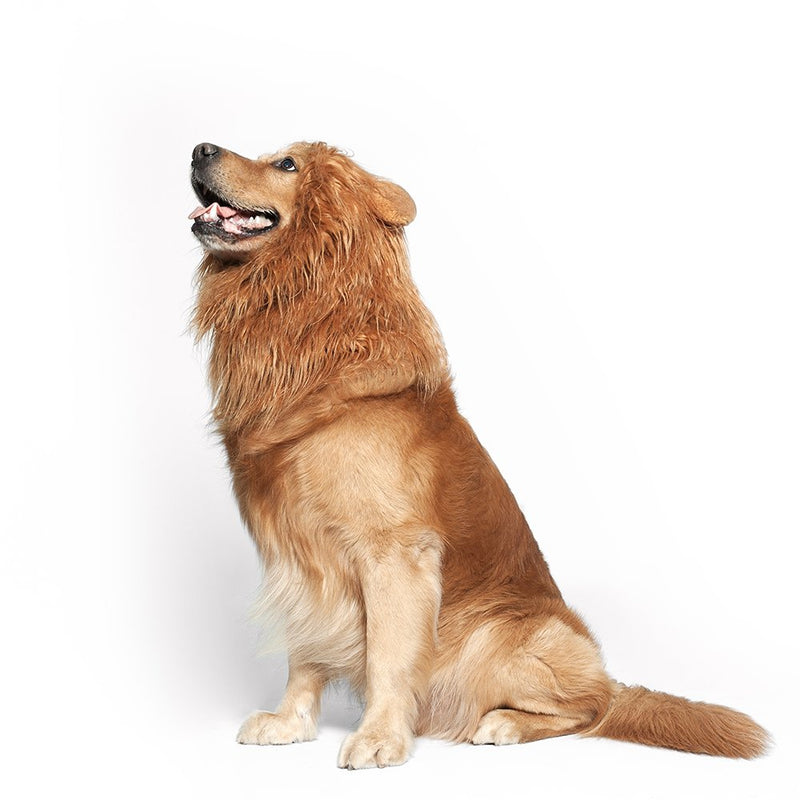 [Australia] - JUBOZAMO Dog Lion Mane - Realistic & Funny Lion Mane for Dogs - Complementary Lion Mane for Dog Costumes Brown 