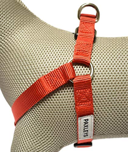 Paxleys Step In Dog Puppy Harness, Adjustable, Solid Red, Water Resistant Designer Adjustable Harness For All Dogs (35cm - 50cm Chest Girth) 35cm - 50cm Chest Girth - PawsPlanet Australia