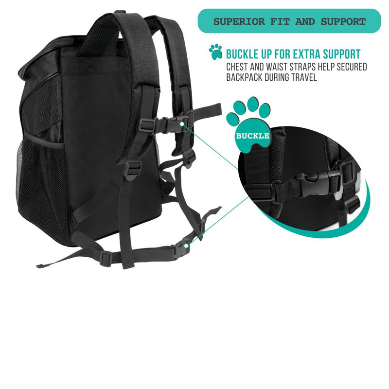 PetAmi Premium Pet Carrier Backpack for Small Cats and Dogs | Ventilated Design, Safety Strap, Buckle Support | Designed for Travel, Hiking & Outdoor Use Black - PawsPlanet Australia