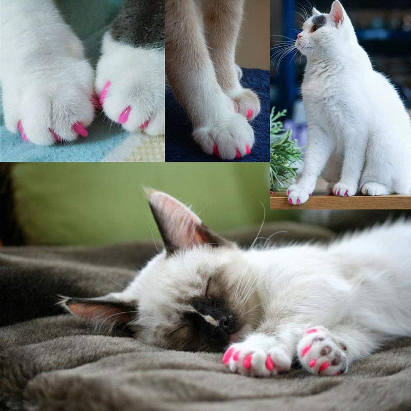 VICTHY 120pcs Cat Nail Caps, Colorful Pet Cat Soft Claws Nail Covers for Cat Claws with Adhesive and Applicators (6 XS - PawsPlanet Australia