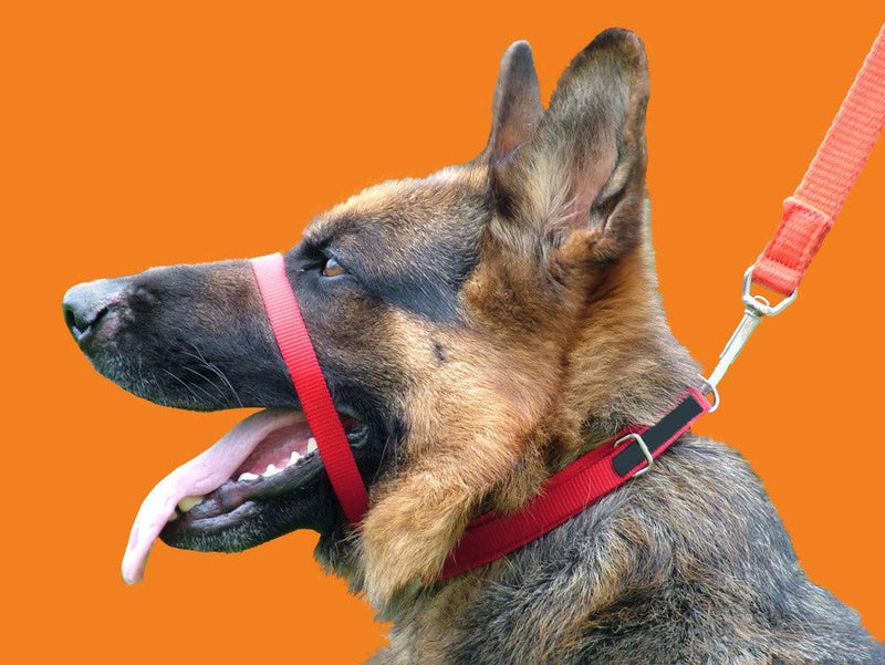 Canny Collar - The Collar for Dog Training and Walking, Helps with Dog Training and Helps to Stop Dogs Pulling on The Leash Size 3 Red - PawsPlanet Australia