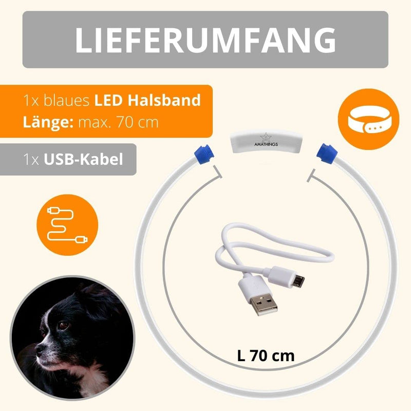 AMATHINGS LED Visio light dog collar in blue - dog collar bright and rechargeable with approx. 12 hours light time - shortenable dog light collar with USB micro cable - LED dog collar blue 2020 - PawsPlanet Australia