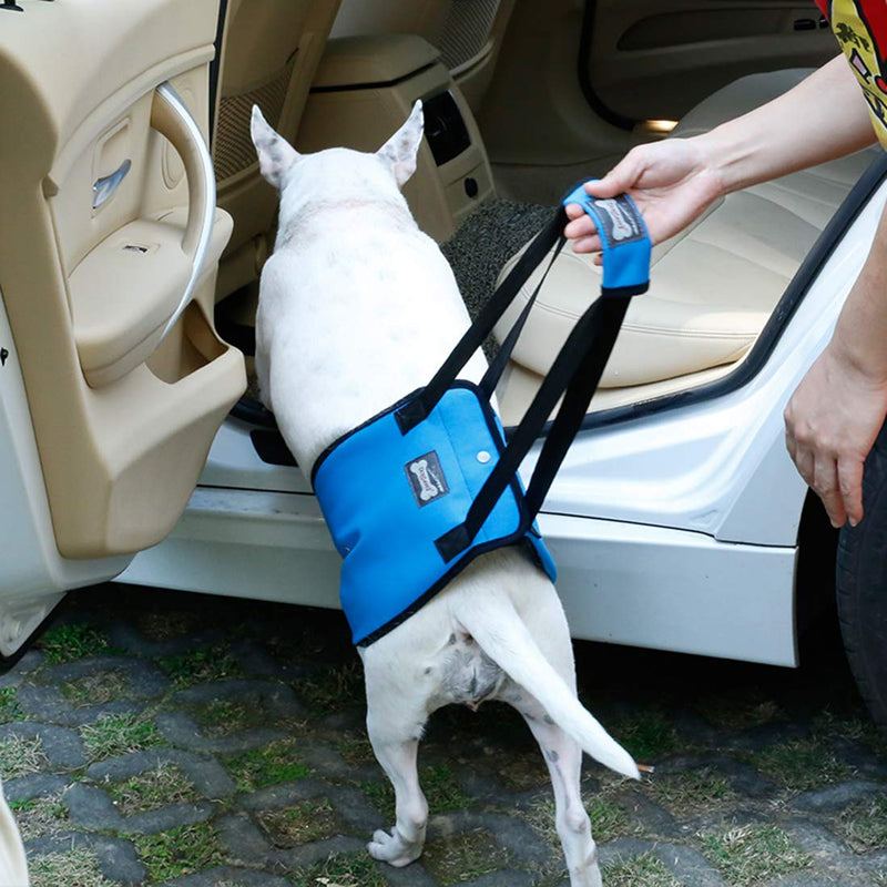 [Australia] - PENIVO 4 Sizes Dog Lift Support Harness Walking Vest Canine Aid Assist Sling Climb Stairs Rehabilitation for Canine Assist Elderly Sick Injured Support Sling Helps Dogs Legs XL Grey 