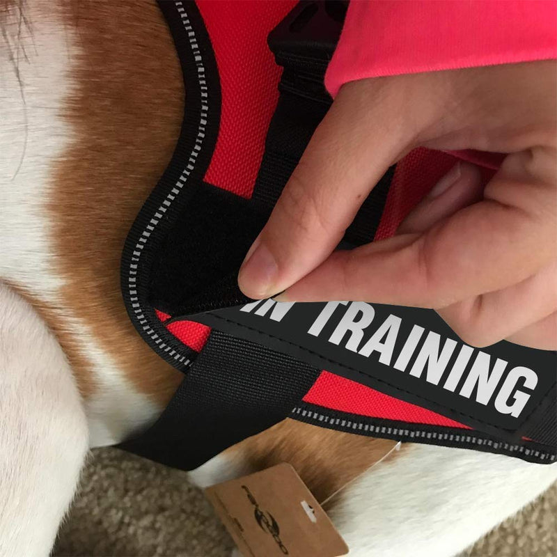 [Australia] - FAYOGOO Reflective in Training/Service Dog in Training/Therapy Dog/Do Not Pet/Emotional Support Dog Patches with Hook Backing for Service Dog Vests Harnesses XS:3.5"x1" 