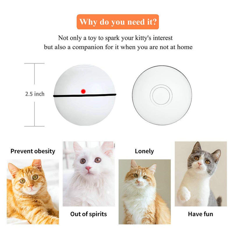 [Australia] - Pakoo Interactive Cat Toys Ball, Smart Automatic Rolling Kitten Toys, USB Rechargeable Motion Ball + Spinning Led Light with Timer Function, The Best Entertainment Exercise Gift for Your Kitty 