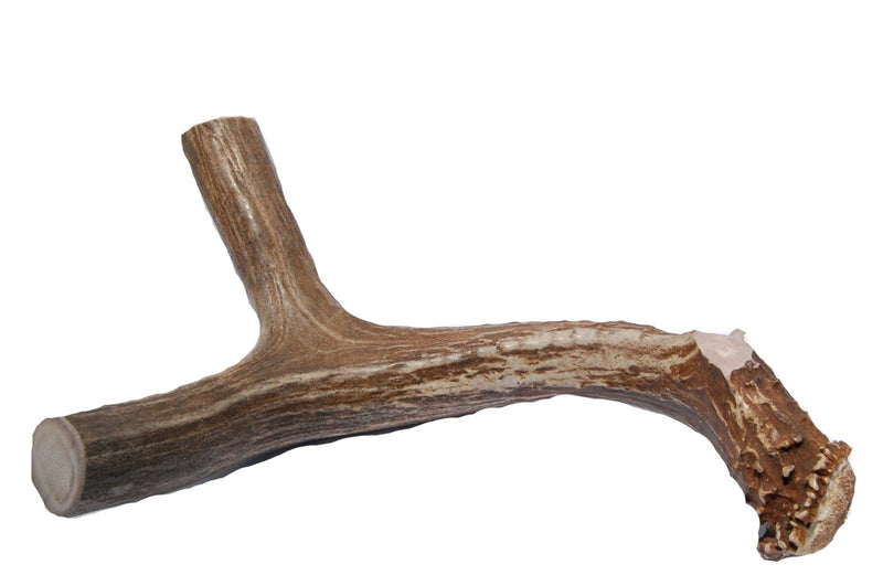 [Australia] - Big Dog Antler Chews Brand - XL Deer Antler Dog Chew - Extra Large, Jumbo, for Large Dogs and Puppies Who are Aggressive Chewers 