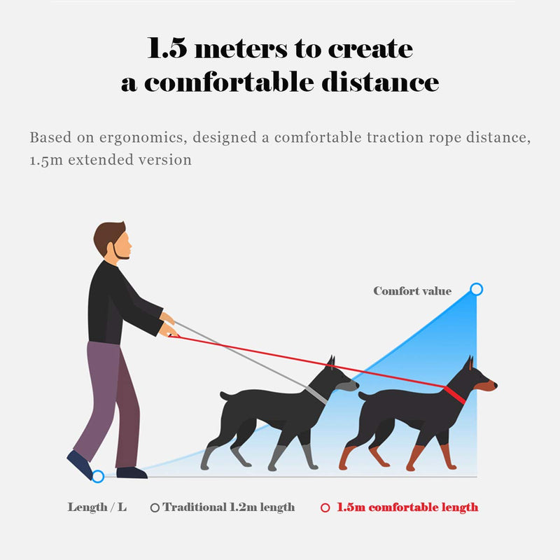 [Australia] - QQPETS Dog Harness Leash Set,Adjustable Vest Durable Heavy Duty Puppy Small Medium Large Dogs Perfect for Walking Running Training Bone Pattern M 