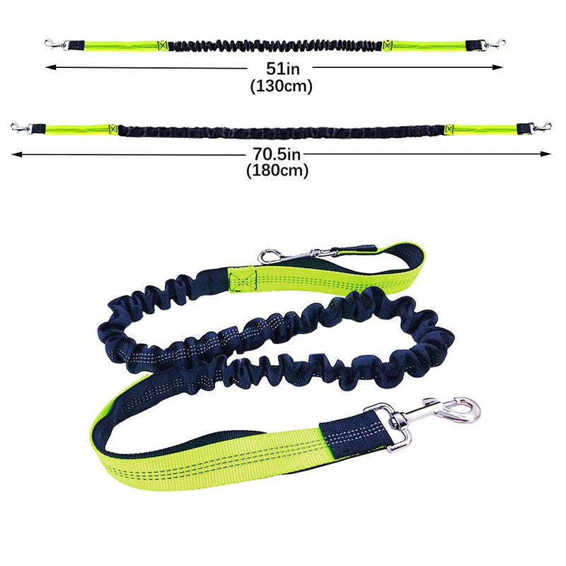 QitinDasen Gray Hands-Free Dog Lead, Adjustable Waist Belt and Dual Handles Stretchy Bungee Lead, Jogging Dog Lead with Reflective Stitching (Green Handle) - PawsPlanet Australia