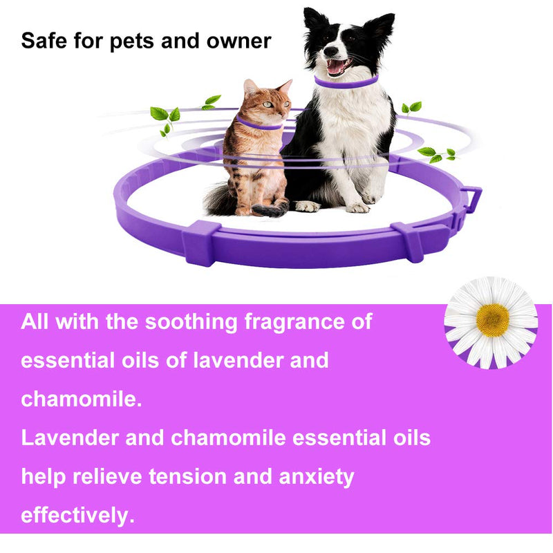 ALQFFHL Calming Collar for Dogs and Cats, Antianxiety Collar with Adjustable Size,Natural Safe Waterproof Long Lasting Calming Effect Cat and Dog Anxiety Relief,1 Pack(Small) Small 1Pack - PawsPlanet Australia