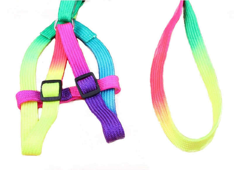 Pet Bird Harness and Leash with Buckle Adorable Rainbow Design Safe Parrot Leash Pet Harness Outdoor Adjustable Anti Bite Training Rope for Macaw Large Size Bird (M: 1cm × 47.24in) M: 1cm × 47.24in - PawsPlanet Australia