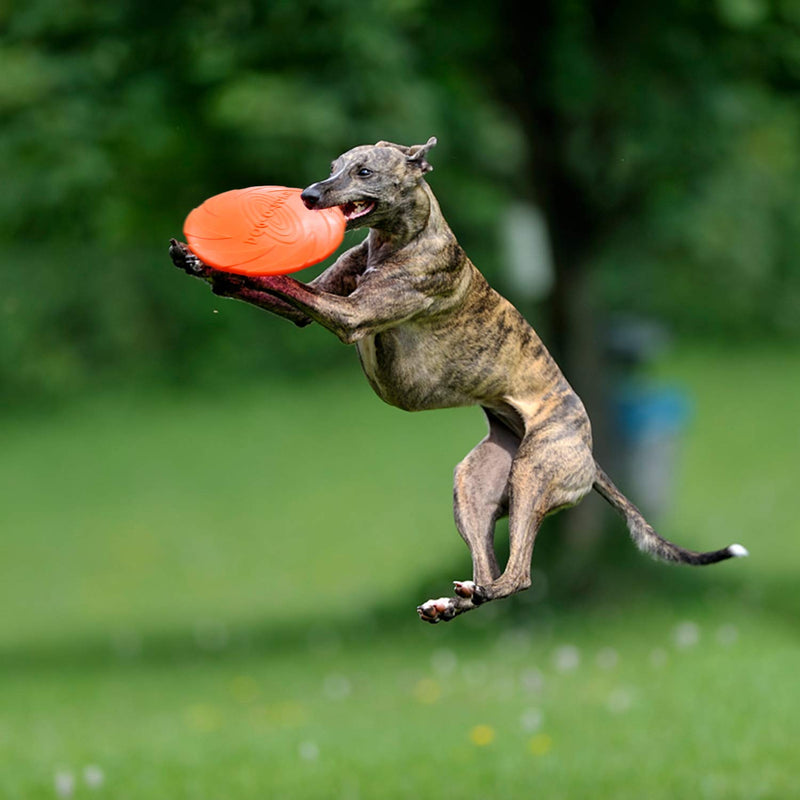 Demason 2 Pcs Dog Frisbee, 18 cm / 7 Inch Dog Flying Disc Pet Flying Saucer, Rubber Training Pet Chew Toy for Outdoor Interactive Fun (Green, Orange) 18cm Dog Frisbee - PawsPlanet Australia