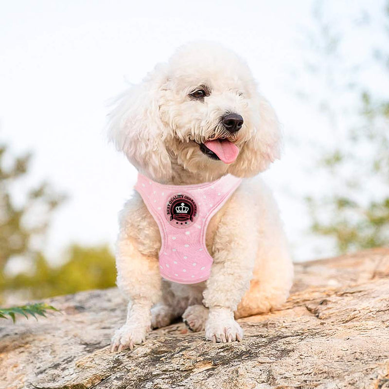 [Australia] - EXPAWLORER Soft Mesh Polka Dots Dog Harness with Matching Leash S 