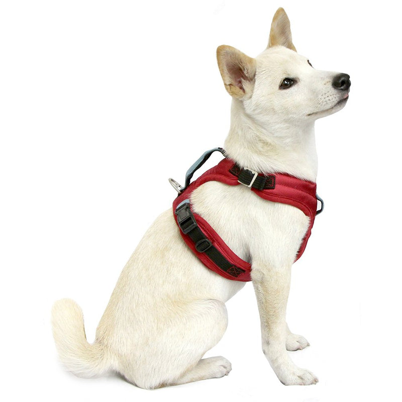 [Australia] - Gooby - Pioneer Dog Harness, Small Dog Head-in Harness with Control Handle and Seat Belt Restrain Captability Red Small Chest (14.8-17.7") 