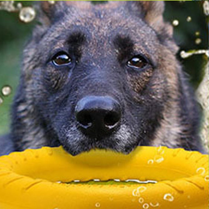 Large Dog Toys Ring Water Floating, Outdoor Fitness Flying Discs, Tug of War Interactive Training Ring for Medium and Big Dogs, 12 inch - PawsPlanet Australia