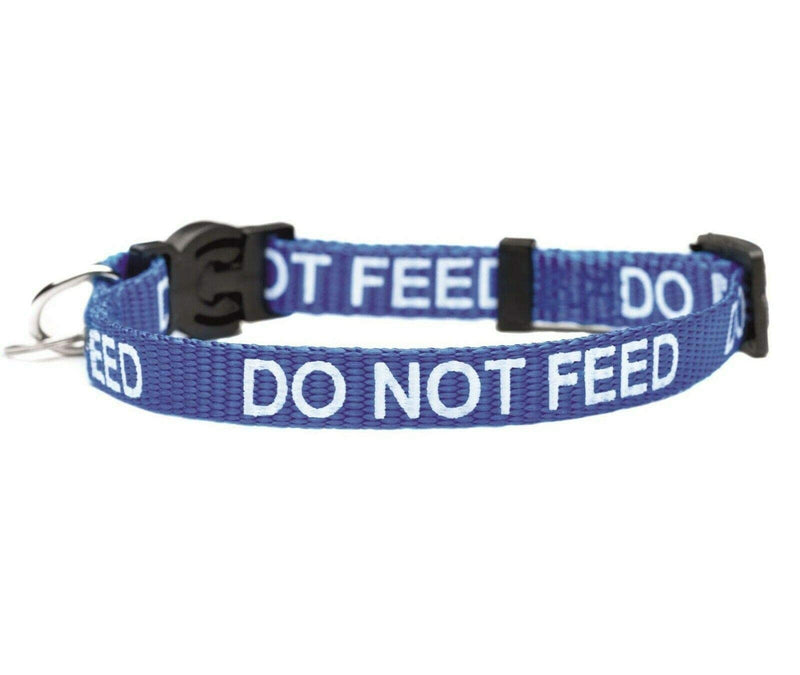 Do Not Feed Cat Collar with Personalised Engraved Fish Shaped ID Pet Tag (Blue) Blue - PawsPlanet Australia