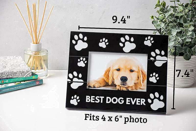 Pumba & Co. Dog Memorial Picture Frame with Sympathy Card - Beautiful Pet Sympathy Gifts for Dogs black - PawsPlanet Australia