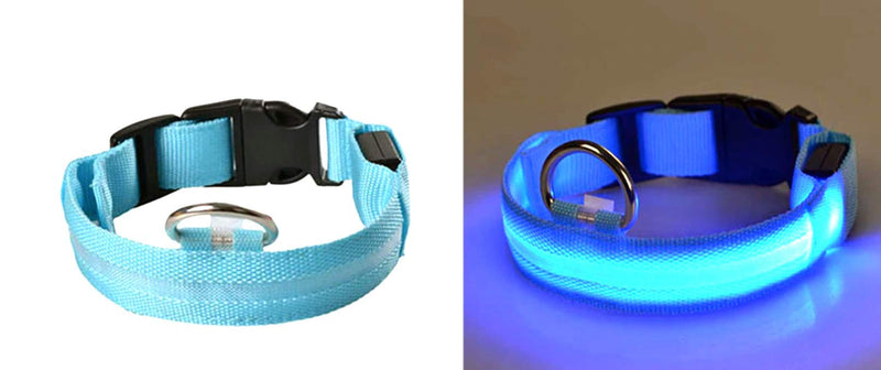 New G Line Flashing Glow In The Dark Dog Leash Waterproof Luminous Fluorescent Collars for Safety - PawsPlanet Australia