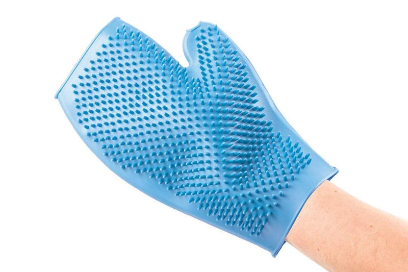 Ancol Ergo Rubber Grooming Glove for Dog, Blue - PawsPlanet Australia