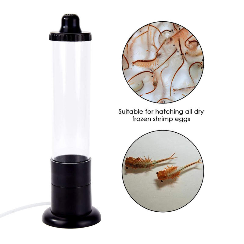 Ueohitsct Brine Shrimp Eggs Incubator Hatchery Artemia Eggs for Aquarium Brine Shrimp Eggs - PawsPlanet Australia