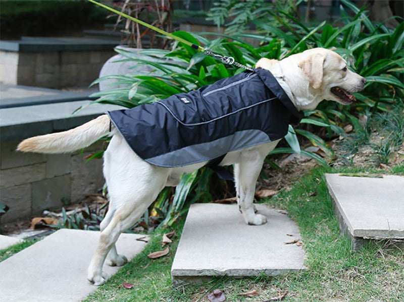 Morezi Dog Warm Coats Jackets Waterproof Coats with Harness Hole Puppy Coat for Small Medium Dogs - Black - S - PawsPlanet Australia