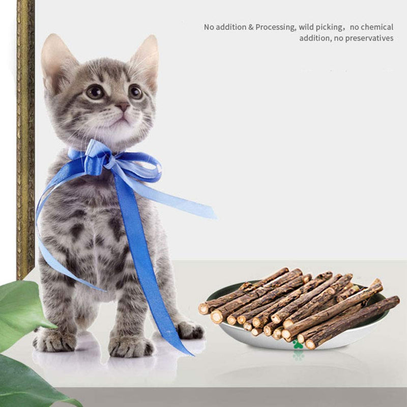 nuoshen 60 Pcs Cat Chew Stick, Natural Catnip Sticks Cat Chew Toys for Cat Kitten Kitty Teeth Cleaning - PawsPlanet Australia