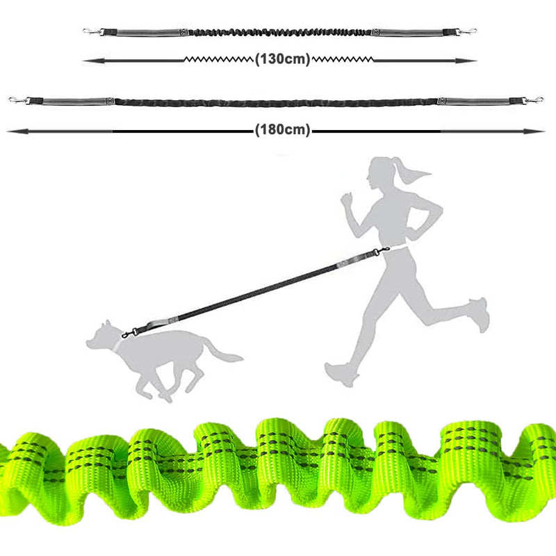 Aiqeer Green Hands-Free Dog Lead, Adjustable Waist Belt and Stretchy Bungee Lead, Jogging Dog Lead with Reflective Stitching (Grey Handle) - PawsPlanet Australia