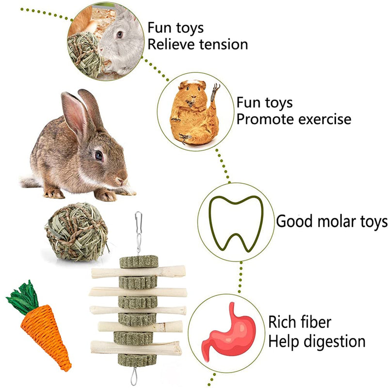 iBoBoy Rabbit Chew Toys Bunny Toys Guinea Pigs Chew Treat Play Balls Rolling Molar Toys Cage Entertainment Accessories for Hamsters Rat Chinchilla Gerbils with 3 Molar String - PawsPlanet Australia