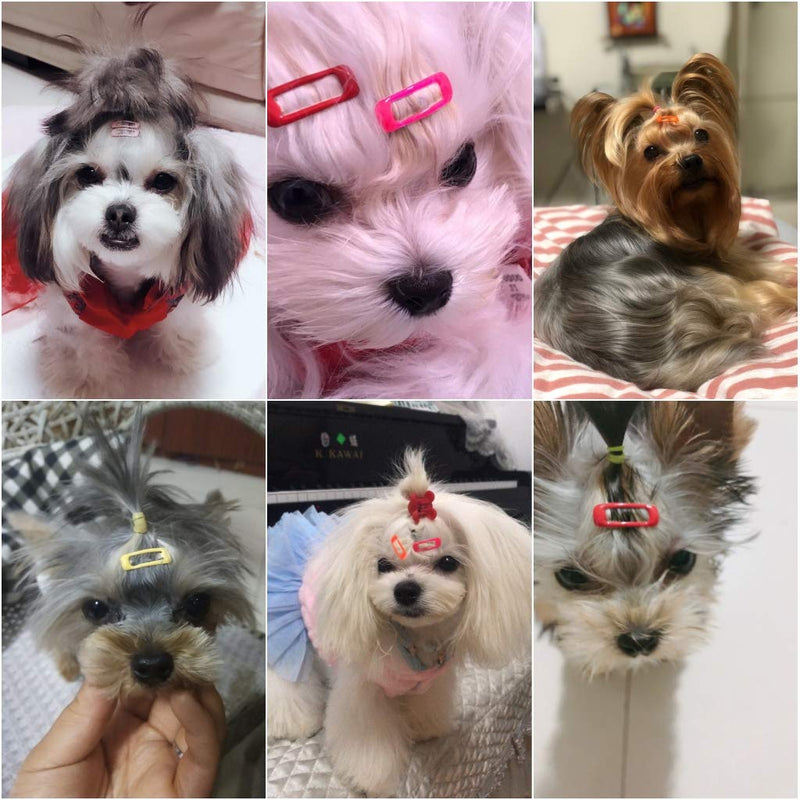 petalk 20pc/Pack Small Dog Hair Clips Mini Clips for Small Breed Teacup Yorkie,Maltese Dog Accessories Rectangle - PawsPlanet Australia