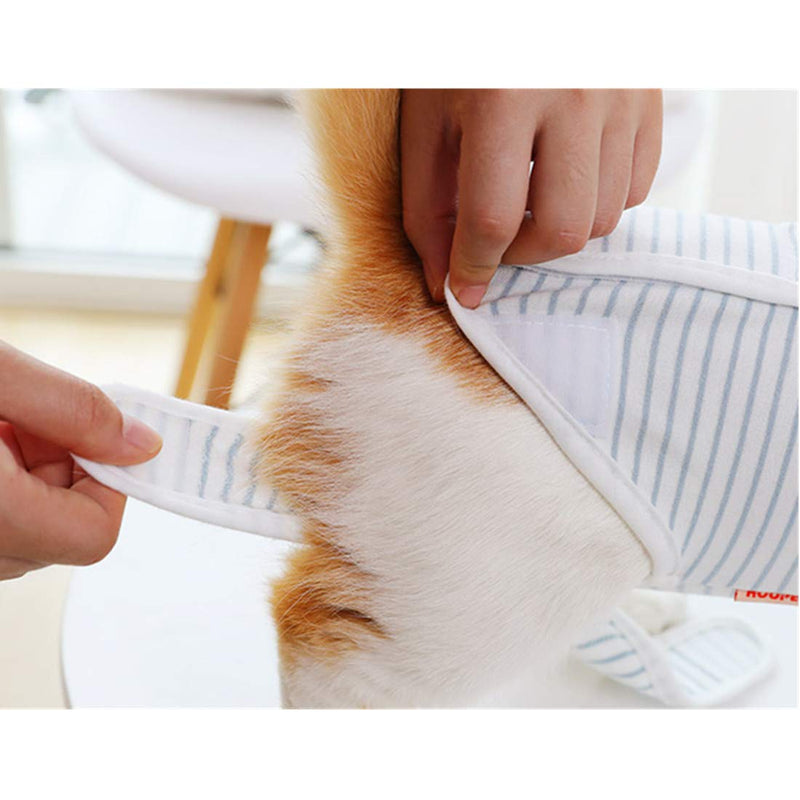 VICTORIE Cat Professional Recovery Suit Surgery Recovery Wear Operation Home Clothing Abdominal Wounds Skin Diseases for Puppy Cats Small Dogs White M - PawsPlanet Australia