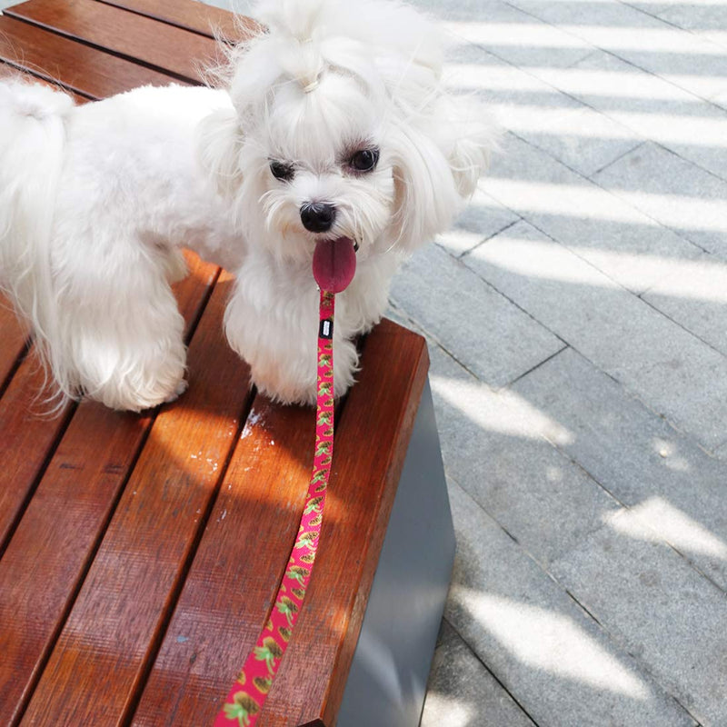 [Australia] - azuza Dog Collar and Leash Set, Cute Fruit Patterns, Adjustable Nylon Collar with Matching Leash for Small Medium and Large Dogs S (Neck: 11"-16") Pineapple 