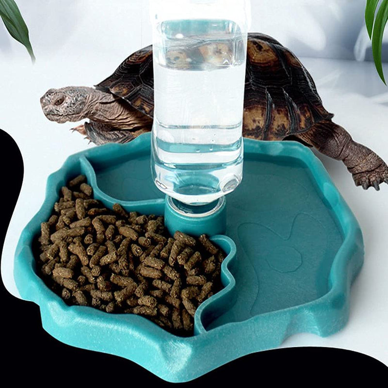 Aufeeky Automatic-Refilling Reptile Water Bottle Food and Water Bowl Feeding Dish Water Dispenser for Tortoise Lizard Frog Terrapin Snake Geckos Hermit Crabs (Blue) Blue - PawsPlanet Australia