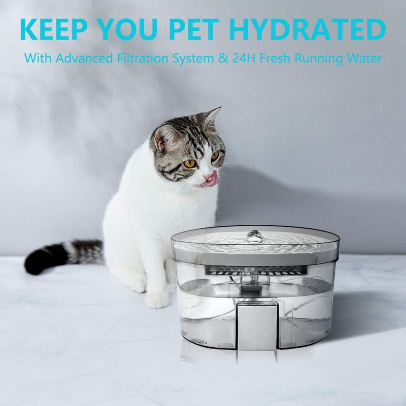 XRDZYXGS Pet Water Dispenser, Cat Water Fountain with 2L Large Capacity Transparent Water Tank, Automatic Water Feeder with Carbon Filtration for Dogs, USB Powered Ultra-Quite Pet Water Bowl - PawsPlanet Australia