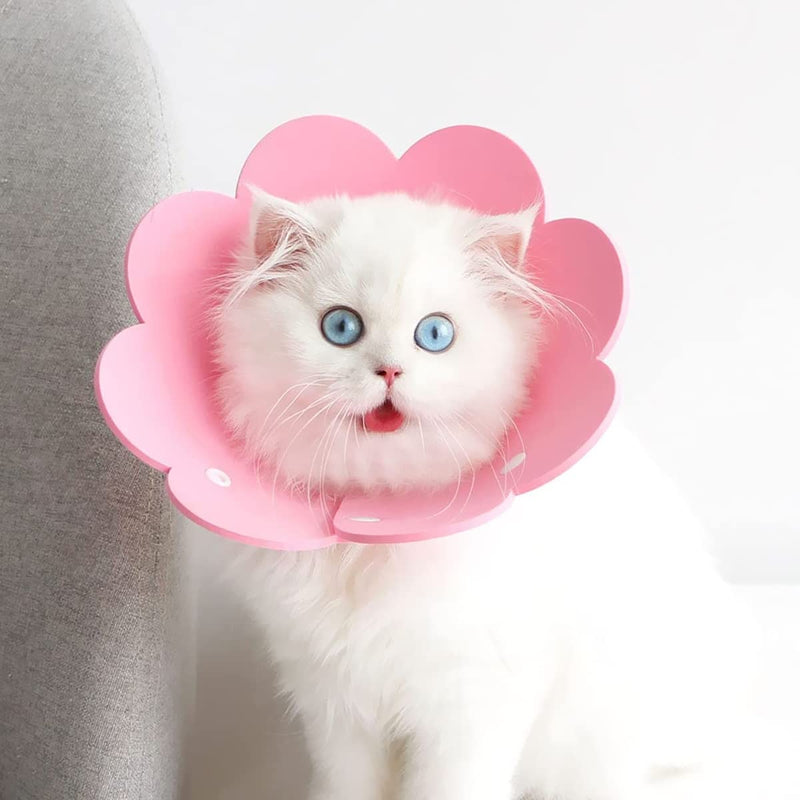 Qixuer Cat Neck Collar, Pack of 4 Protective Collar Cat Collar Pink and Blue Cat Collar Protectors Are Used to Prevent Injuries Caused by Licking Wounds After Surgery - PawsPlanet Australia