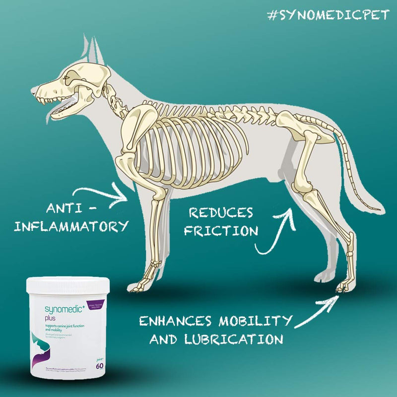 Synomedic+ plus Advanced Veterinary Joint Support Supplement for Dogs-ASU, Glucosamine,Omega 3, Green Lipped Mussel, MSM - PawsPlanet Australia