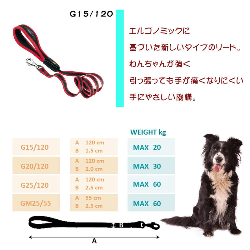 Ferplast 75455922 dog leash ERGOCOMFORT G15/120, ergonomic handle with padding, width: 1.5 cm, length: 120 cm, red One size - PawsPlanet Australia